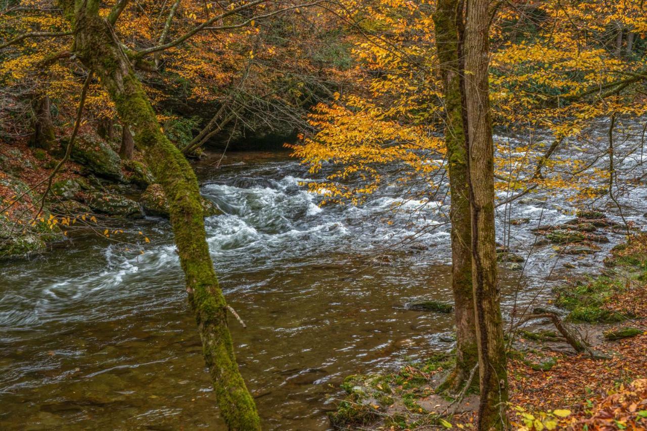 Fox Hollow Little Cove Extérieur photo